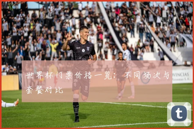 世界杯门票价格一览:不同场次与套餐对比